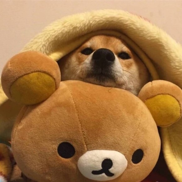 Meet your Posher, Mongayha - Picture 1 of 1